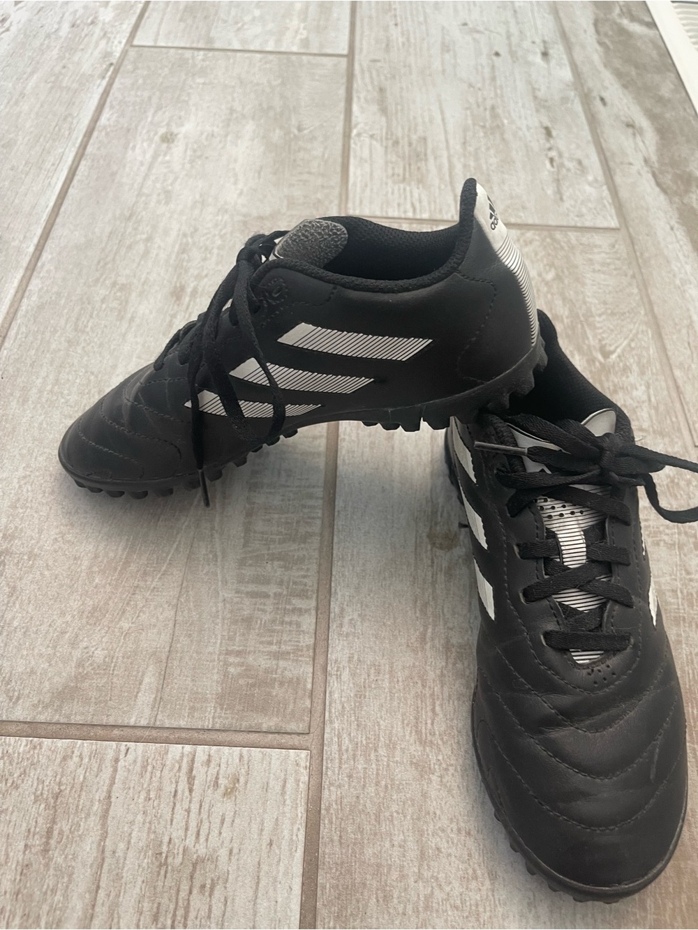 adidas indoor soccer shoe